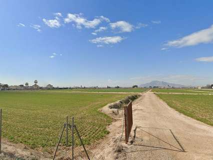Parcela rústica en venta en Catral