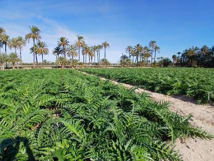 Parcela rústica en venta en Elche/Elx