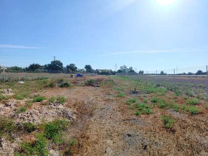Parcela rústica en venta en San Fulgencio