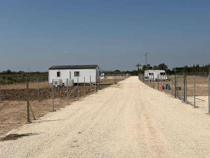 Parcela rústica en venta en Elche/Elx zona La Marina