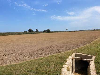 Parcela rústica en venta en Dolores