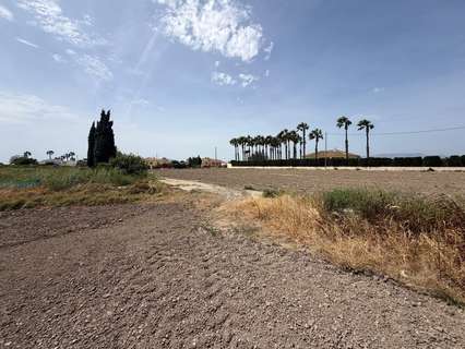 Parcela rústica en venta en Dolores