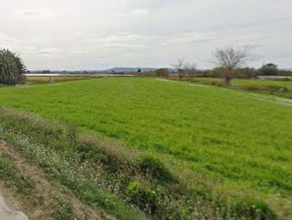 Parcela rústica en venta en Catral