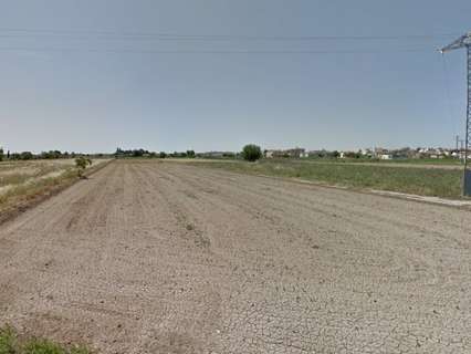 Parcela rústica en venta en Dolores