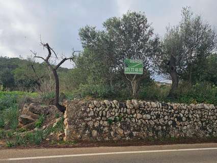 Parcela rústica en venta en Santa Eugènia