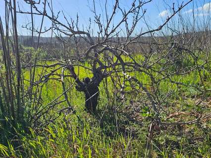 Parcela rústica en venta en Santa María del Camí