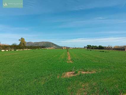 Parcela rústica en venta en Sa Pobla