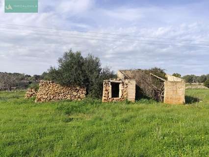 Casa rústica en venta en Santa Margalida