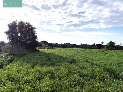 Parcela rústica en venta en Santa Margalida