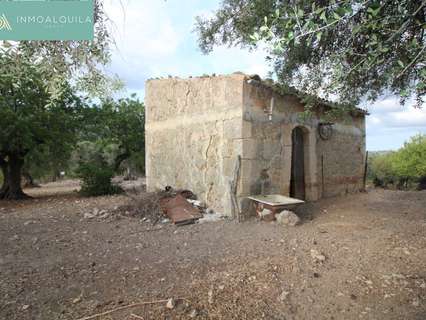 Casa rústica en venta en Selva