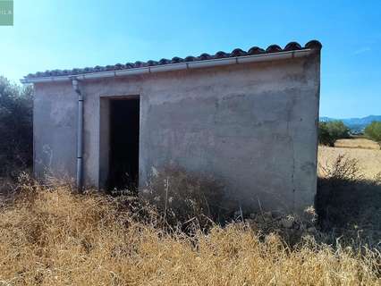 Parcela rústica en venta en Consell