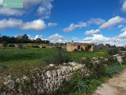 Parcela rústica en venta en Llubí