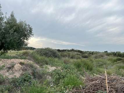 Parcela rústica en venta en Murcia zona Sangonera la Seca