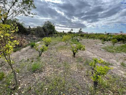 Parcela rústica en venta en Murcia