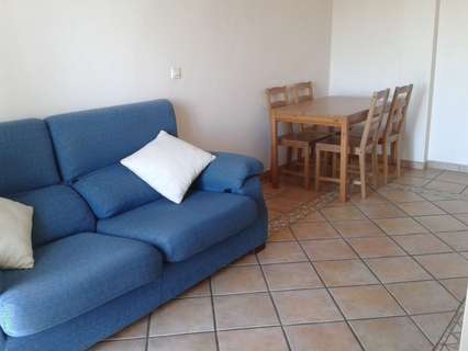 Piso en alquiler en Murcia zona El Palmar