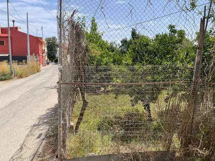 Parcela rústica en venta en Murcia