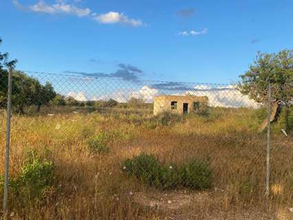 Parcela rústica en venta en Marratxí