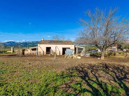 Parcela rústica en venta en Selva