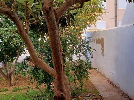 Planta baja en venta en Palma de Mallorca