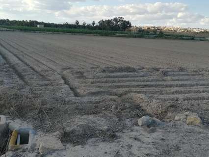 Parcela rústica en venta en San Fulgencio