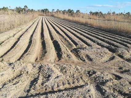 Parcela rústica en venta en San Fulgencio