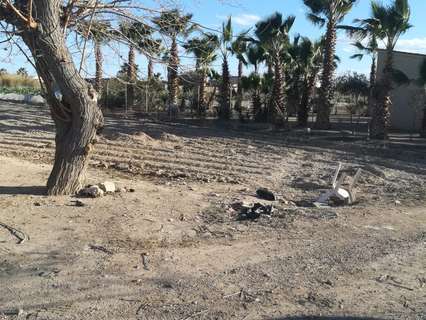 Parcela rústica en venta en San Fulgencio