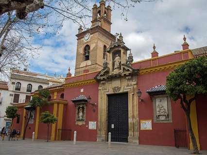 Estudio en venta en Sevilla