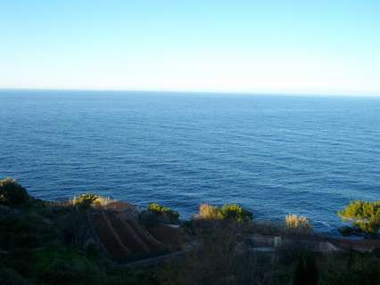 Parcela rústica en venta en Banyalbufar rebajada