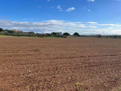 Parcela rústica en venta en Porreres