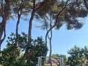 Parcela rústica en venta en Palma de Mallorca