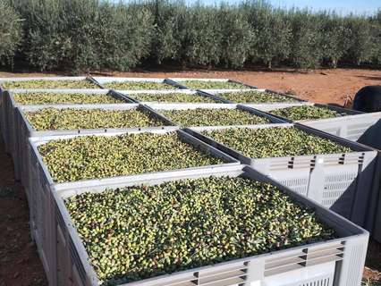 Parcela rústica en venta en Cartagena