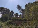 Parcela rústica en venta en Cabrera d'Anoia