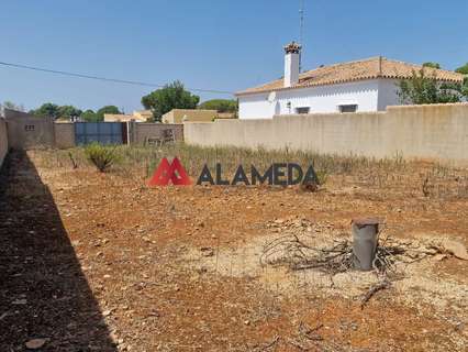 Parcela rústica en venta en Chiclana de la Frontera