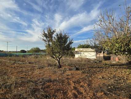 Parcela rústica en venta en Chiclana de la Frontera