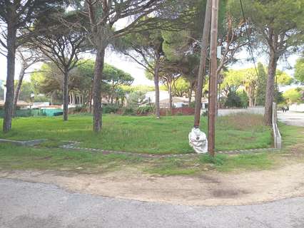 Parcela rústica en venta en Chiclana de la Frontera