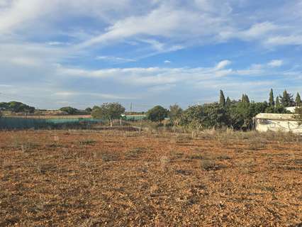 Parcela rústica en venta en Chiclana de la Frontera