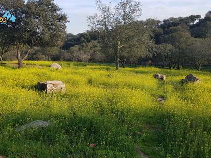 Parcela rústica en venta en Badajoz
