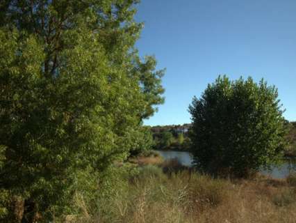 Parcela rústica en venta en Alburquerque