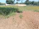 Parcela rústica en venta en Badajoz rebajada