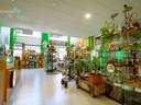 Local comercial en venta en Badajoz