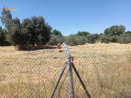 Parcela rústica en venta en Badajoz