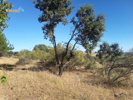 Parcela rústica en venta en Badajoz