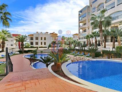 Planta baja en venta en Guardamar del Segura rebajada