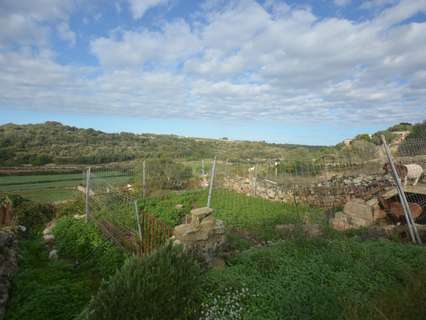 Parcela rústica en venta en Es Migjorn Gran