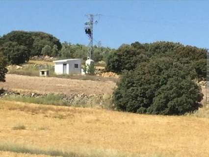 Parcela rústica en venta en Guadahortuna