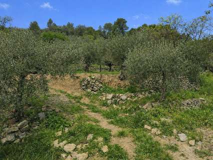 Parcela rústica en venta en Castell de Castells
