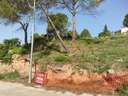 Parcela rústica en venta en Fonollosa