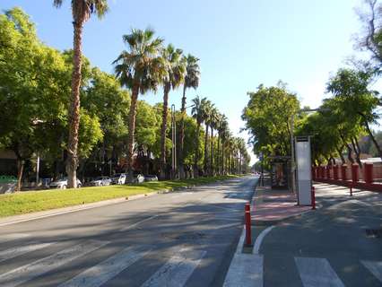 Local comercial en alquiler en Murcia