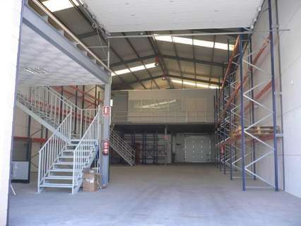 Nave industrial en venta en El Ejido