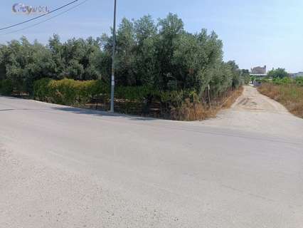 Parcela rústica en venta en Molina de Segura